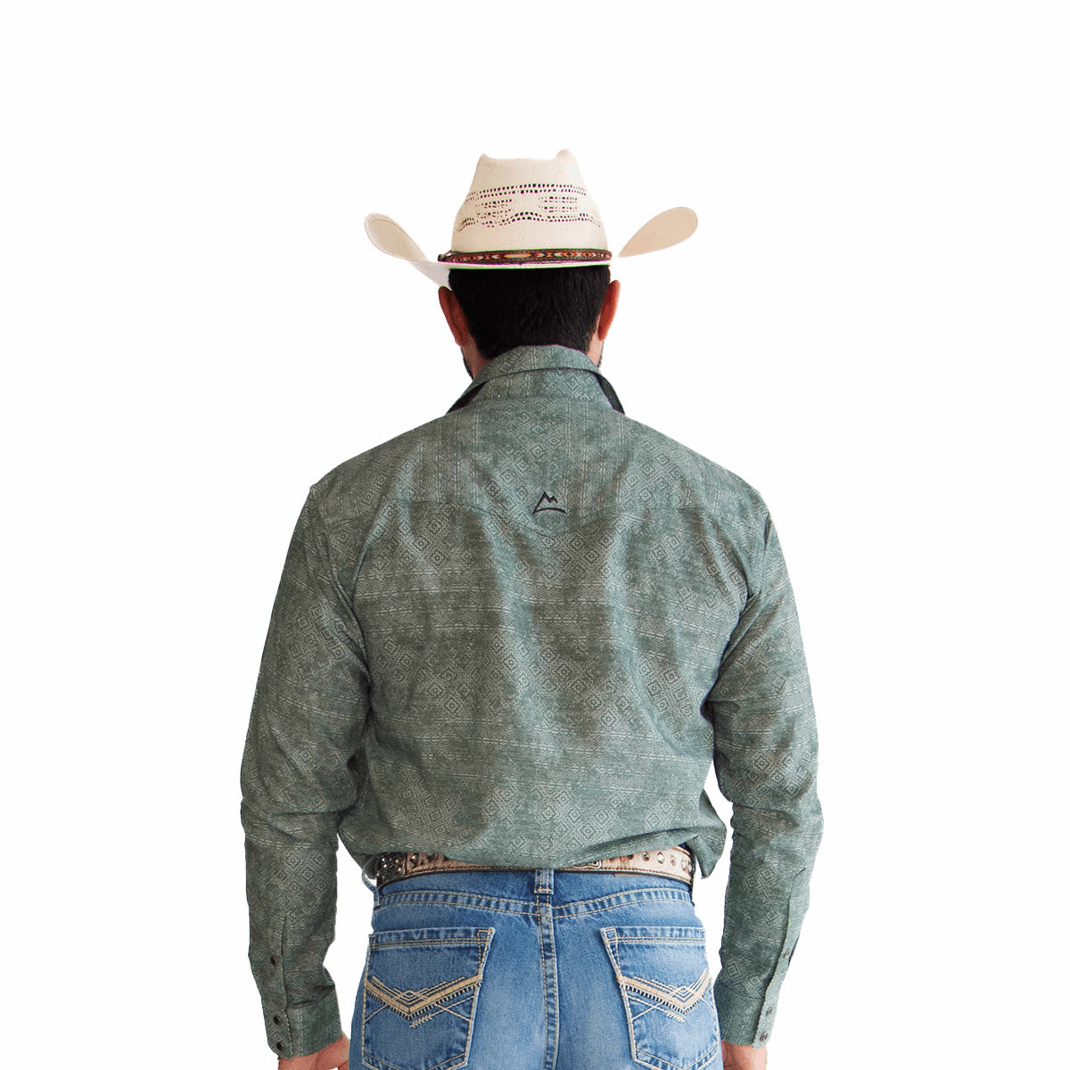 Camisa vaquera Denver Verde