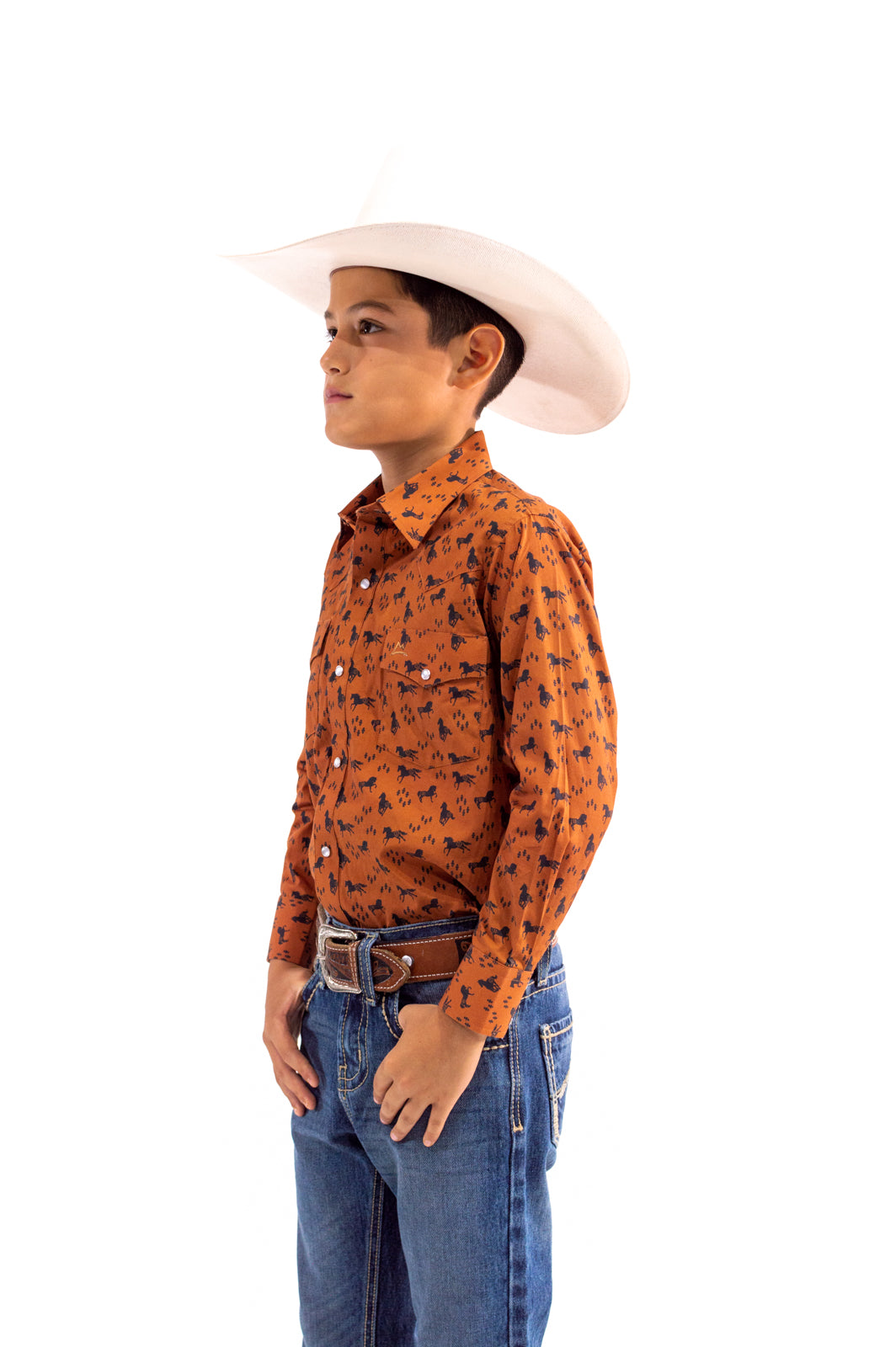 Camisa Kids Unisex BROWN WITH HORSES CKD026
