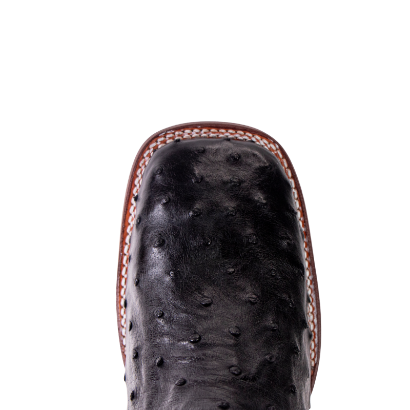 Bota Avestruz Negra Bulldog Hombre