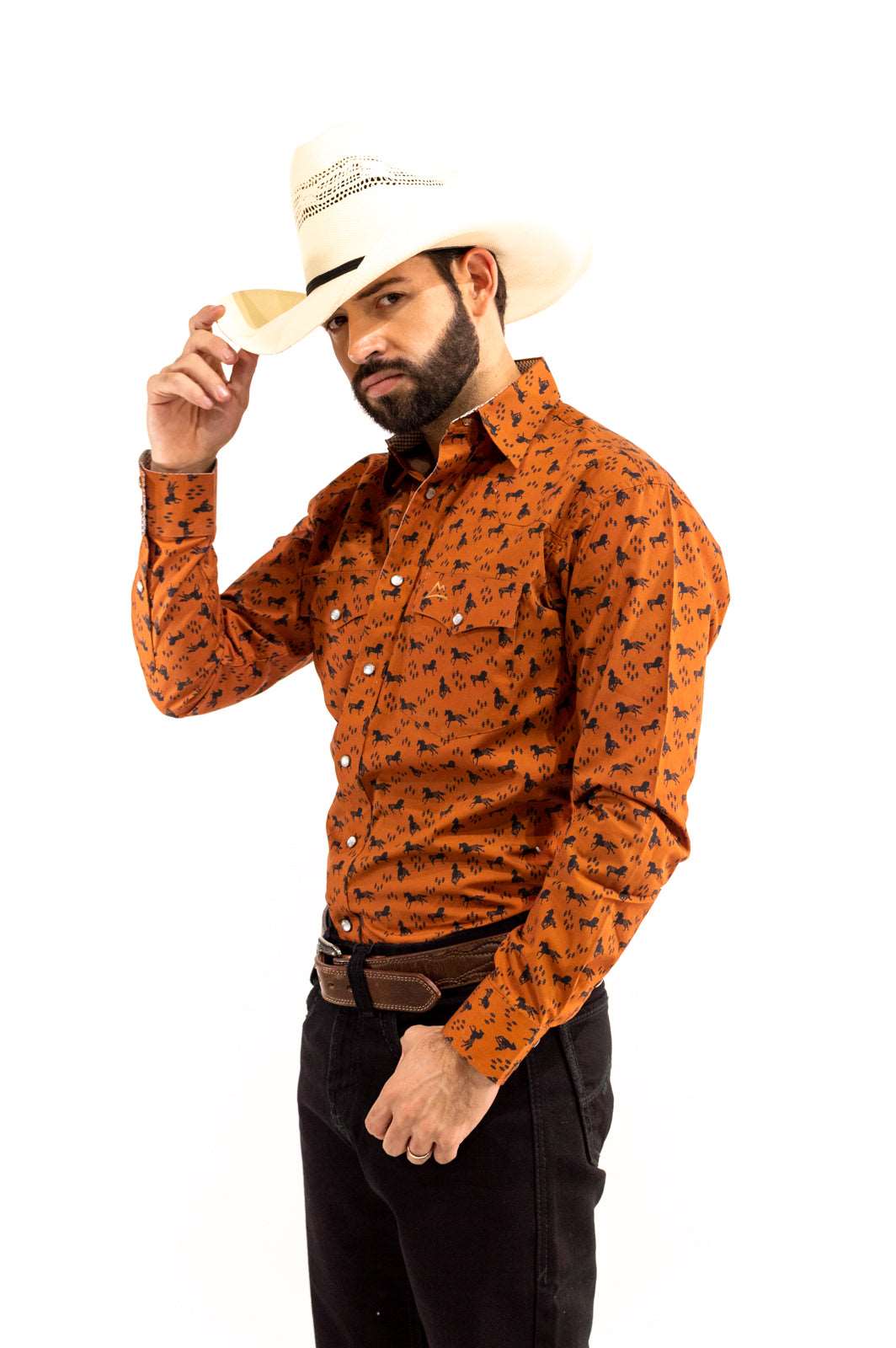 Camisa vaquera marrón c/caballos