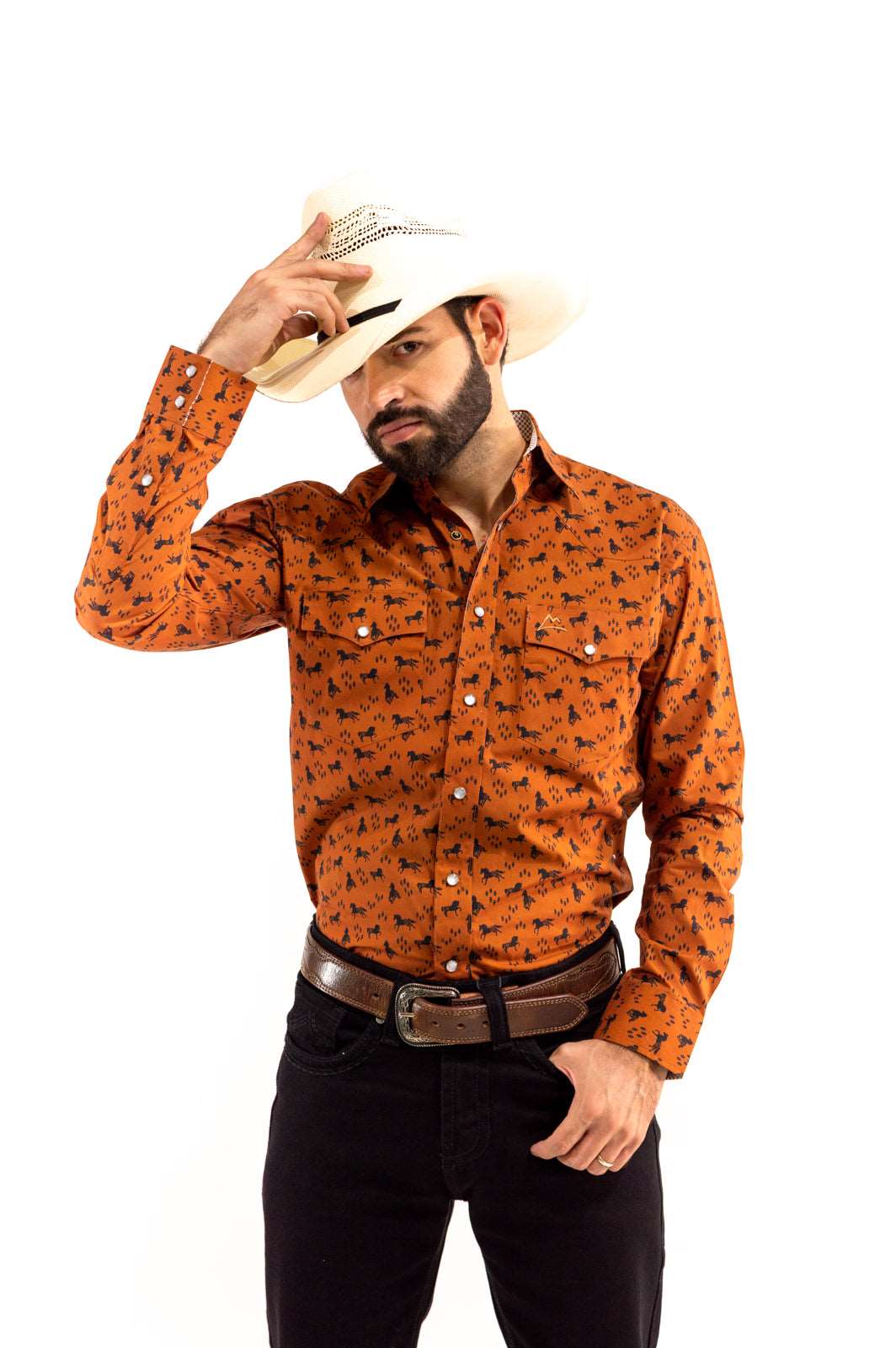 Camisa vaquera marrón c/caballos