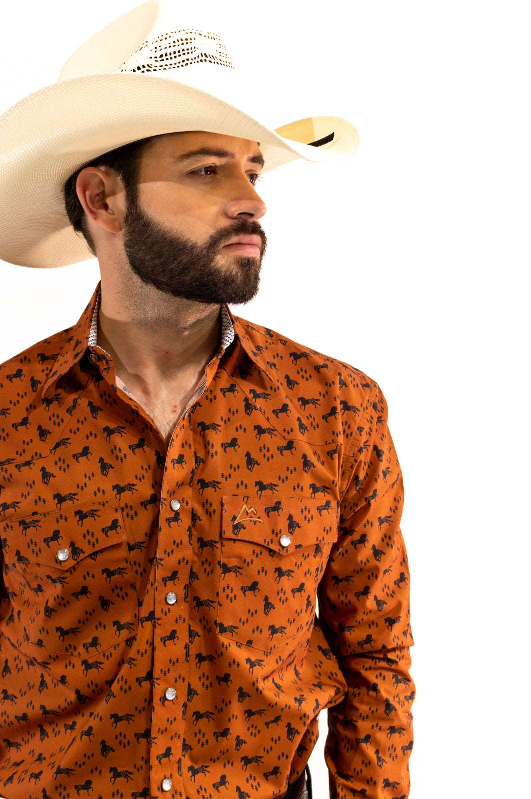 Camisa vaquera marrón c/caballos